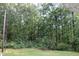 View of backyard with lush greenery and towering trees in a tranquil setting at 5705 Katha Dr, Holly Springs, NC 27540