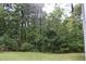 Spacious backyard featuring a well-maintained lawn surrounded by lush greenery at 5705 Katha Dr, Holly Springs, NC 27540