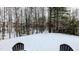 A snowy scene of a wooded backyard viewed from a deck or patio at 101 Clardona Way, Holly Springs, NC 27540