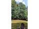 Expansive backyard with mature trees, lush greenery, and a well-maintained lawn, perfect for outdoor activities at 101 Clardona Way, Holly Springs, NC 27540