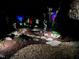 Professionally landscaped backyard illuminated with colorful uplighting on the trees at 2526 Snowdrop Ct, Apex, NC 27502