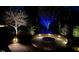Outdoor stone fire pit area with landscape lighting in a professionally designed yard at 2526 Snowdrop Ct, Apex, NC 27502