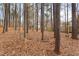 Wooded backyard with tall trees and leaf covered ground at 102 Pinehill Way, Cary, NC 27513