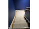 Beige carpeted stairs with dark blue walls at 503 Bendemeer Ln, Rolesville, NC 27571