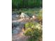 Beautiful landscaped backyard with large boulders and mature trees at 540 Patterson Dr, Chapel Hill, NC 27516