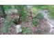 This flowerbed is full of many types of green plants and flowers at 540 Patterson Dr, Chapel Hill, NC 27516