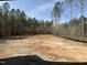 Expansive backyard with a mix of dirt, gravel, and trees, providing plenty of space and privacy at 135 Cherry Bark Dr, Youngsville, NC 27596