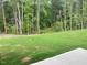 Green backyard with trees and grass at 310 N Maple Walk # 236, Garner, NC 27529