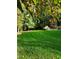 Expansive grassy backyard bordered by trees at 109 Springwood Dr, Wake Forest, NC 27587