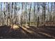 Wooded area behind the property, offering a private and secluded feel at 109 Springwood Dr, Wake Forest, NC 27587