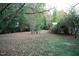 Large backyard with mature trees and a shed at 1924 Edgeleaf Dr, Willow Springs, NC 27592