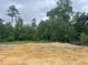 New home foundation on a spacious lot surrounded by mature trees, offering privacy and natural beauty at 68 Streamline Ct, Lillington, NC 27546