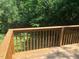 Wooden back deck overlooking a fenced-in backyard with lush green trees at 807 E Edenton St, Raleigh, NC 27601