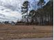 Wooded lot ready for your dream home at 1684 Pecan Drive # 43, Nashville, NC 27856