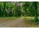 Gravel driveway leading through a wooded area at 6238 Old 421 Rd, Liberty, NC 27298