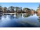 Scenic view of community pond surrounded by mature trees under a clear blue sky at 110 Ethans Glenn Ct, Cary, NC 27513
