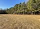 Open backyard with mature trees and cleared land at 125 Hydrangea Ln, Benson, NC 27504