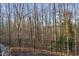 Private wooded view from backyard at 148 Hidden Creek Ct, Pittsboro, NC 27312