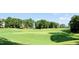 Beautiful golf course view showcasing lush green lawns, mature trees, and well-manicured landscaping at 105 Fountain Ridge Pl, Holly Springs, NC 27540