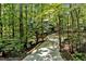 Long driveway leading to a home in a wooded area at 2100 Tadley Dr, Chapel Hill, NC 27514