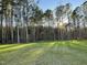 Spacious backyard with lush grass and mature trees at 289 Magnolia Run Way, Benson, NC 27504