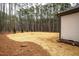 Side view of house exterior showcasing light-colored siding and wooded backdrop at 4120 Emily Ln, Oxford, NC 27565