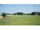 Well-maintained baseball field featuring lush green grass and full fencing at 109 Stoneline Ct, Holly Springs, NC 27540