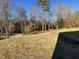 Wooded backyard with clearing at 171 Wynd Crest Way, Benson, NC 27504