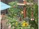 Backyard garden with sunflowers, a bird feeder, and other plants at 121 Lumina Pl, Holly Springs, NC 27540