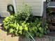 Lush garden bed with hostas, decorative hose holder and potted plants on porch stairs for a verdant outdoor aesthetic at 121 Lumina Pl, Holly Springs, NC 27540
