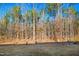 Wooded backyard view at 2029 Maggie Valley Dr, Apex, NC 27502