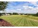 Expansive backyard with manicured lawn, wrought iron fence and beautiful golf course and neighborhood views at 296 Two Creeks Lp, Chapel Hill, NC 27517