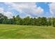 Vast green lot with many tall trees with blue skies and fluffy clouds at 1610 Woodards Dairy Rd, Middlesex, NC 27557