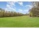 View of expansive lot with treeline and blue skies in the background at 306 Neuse Ridge Dr, Clayton, NC 27527
