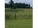 View of the property line with a grassy field at 515 Docs Rd, Lillington, NC 27546