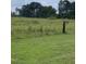 View of the property line with a grassy field at 515 Docs Rd, Lillington, NC 27546