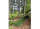 Backyard features mature trees, landscaping, wrought iron fence, and lake views at 2112 White Pond Ct, Apex, NC 27523