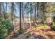 Wooded backyard with a stone path and small seating area at 2112 White Pond Ct, Apex, NC 27523