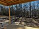 View from back porch showcasing wooded acreage at 30 Seahawk Way, Zebulon, NC 27597