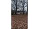 Large backyard with mature trees and a shed at 509 Atlantic Ave, Rocky Mount, NC 27801