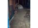 Unfinished interior with flooring and debris at 509 Atlantic Ave, Rocky Mount, NC 27801