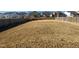 Large backyard with grassy area at 110 Shining Amber Way, Franklinton, NC 27525