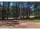 Picturesque view of the golf course and trees from the backyard at 2662 Sledge Rd, Louisburg, NC 27549