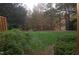 Landscaped backyard with lush green grass and mature trees at 2004 Clyde Bank Ct, Cary, NC 27511