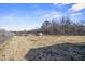 Large backyard with wooden fence at 10080 Nc-39, Middlesex, NC 27557
