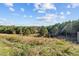 Open pasture with mature trees and distant home at 754 Firestone Ln, Sanford, NC 27330