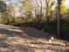 An image showing the empty lot at 104 Halifax Rd, Louisburg, NC 27549