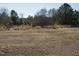 Large backyard with grassy area at 6545 Old Jefferson Davis Hwy, Cameron, NC 28326
