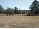 Large backyard with mature trees and open space at 6567 Old Jefferson Davis Hwy, Cameron, NC 28326