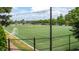 Artificial turf soccer field with goals and netting at 105 Tracey Creek Ct Ct, Apex, NC 27502